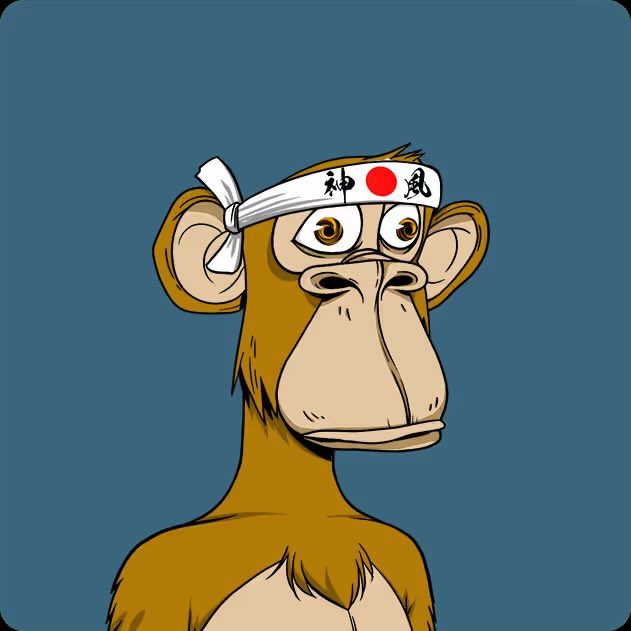 Dr. Novo 🍌 tweet media