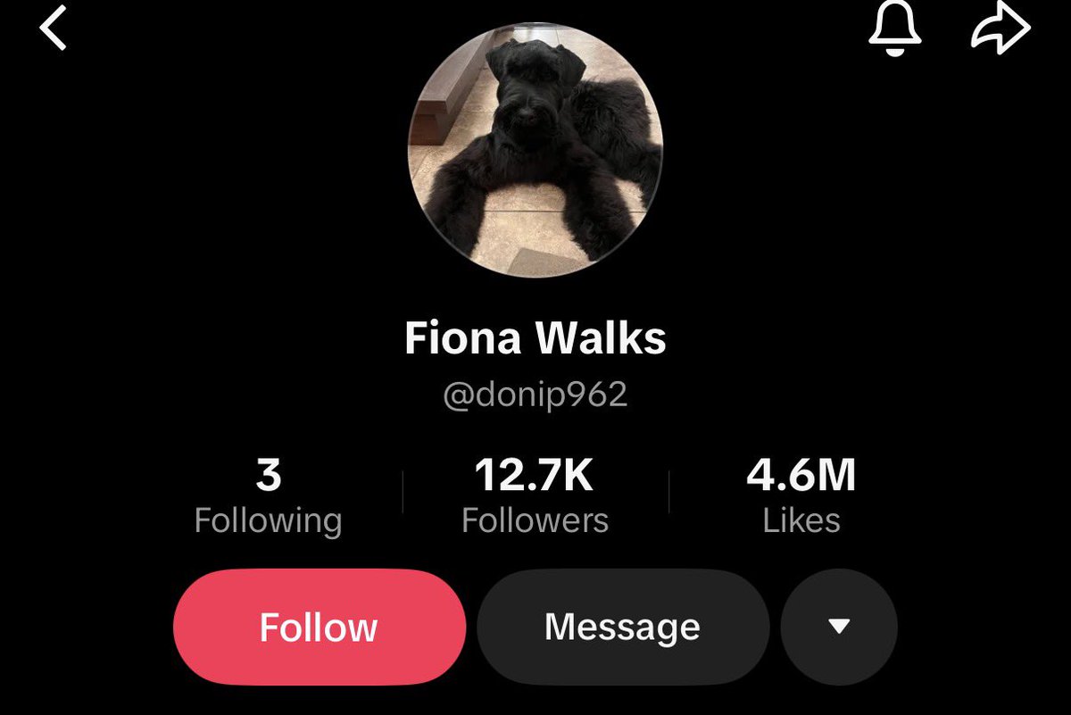 statusmaxxing's tweet photo. finally have a name for the viral dog “Fiona” https://t.co/2lxskTIXfm