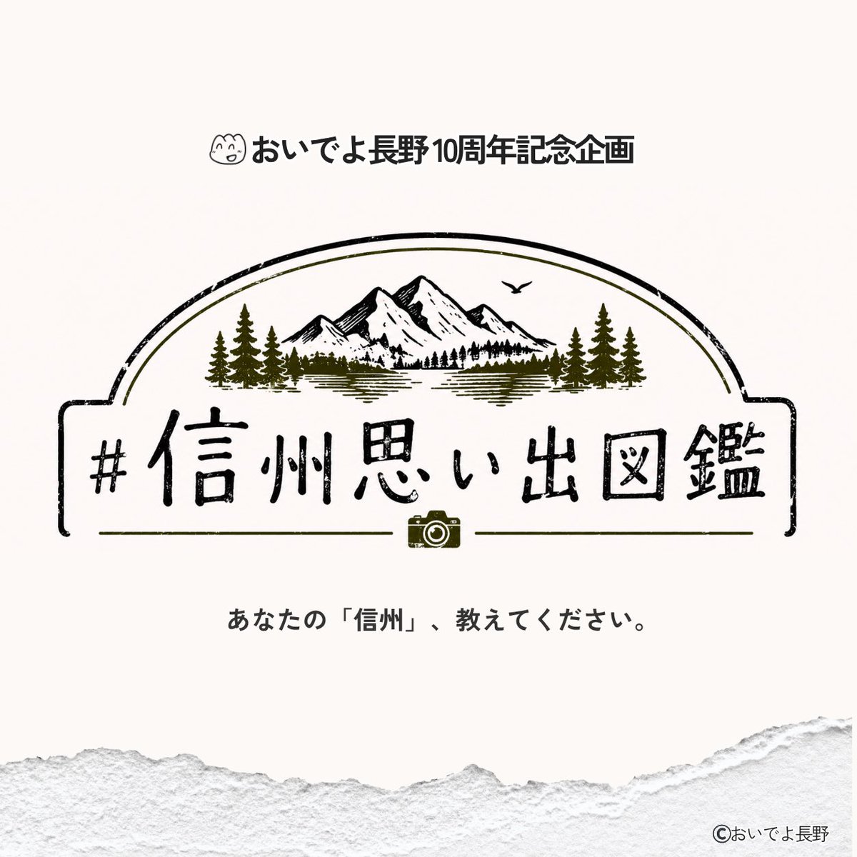 おいでよ長野⛰️10周年 tweet media