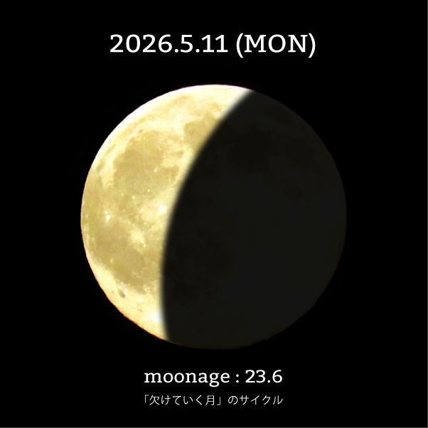 moon_cycle tweet media