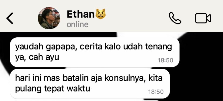 hauna tweet media