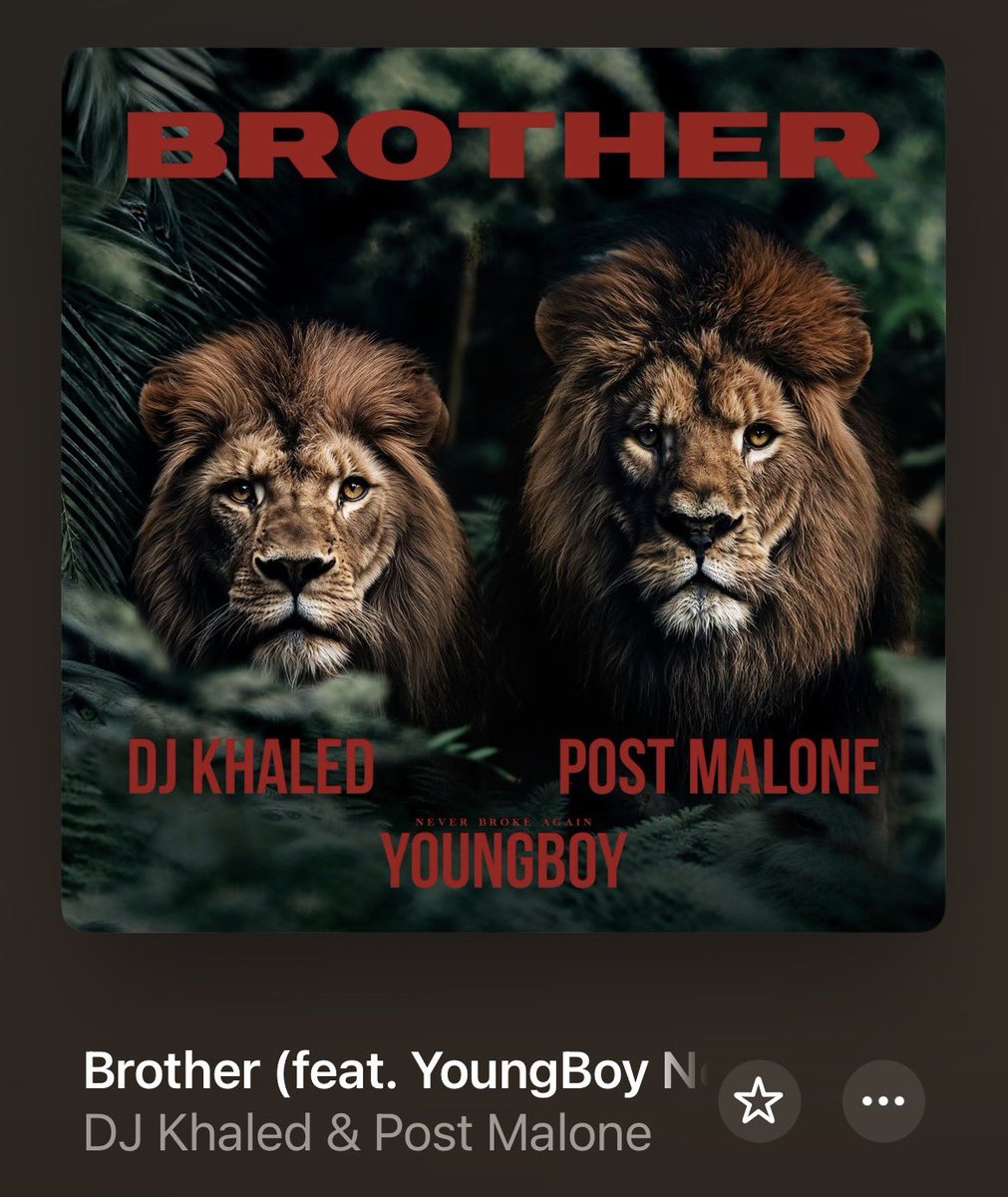 Daily YoungBoy tweet media