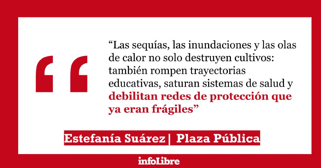 infoLibre tweet media
