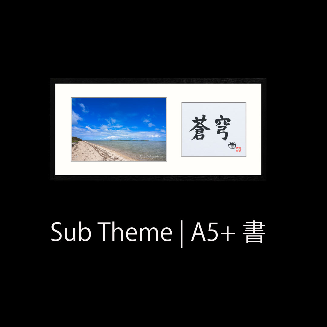 Island Gallery tweet media