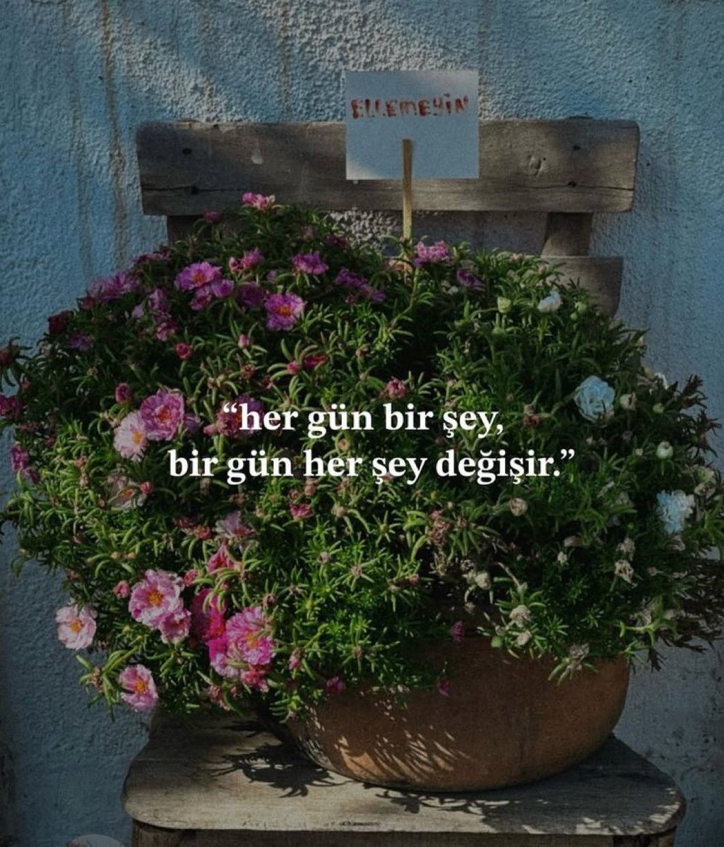 xmentalactivity's tweet photo. “Her gün bir şey, bir gün her şey değişir.” https://t.co/ISBRUUAS71