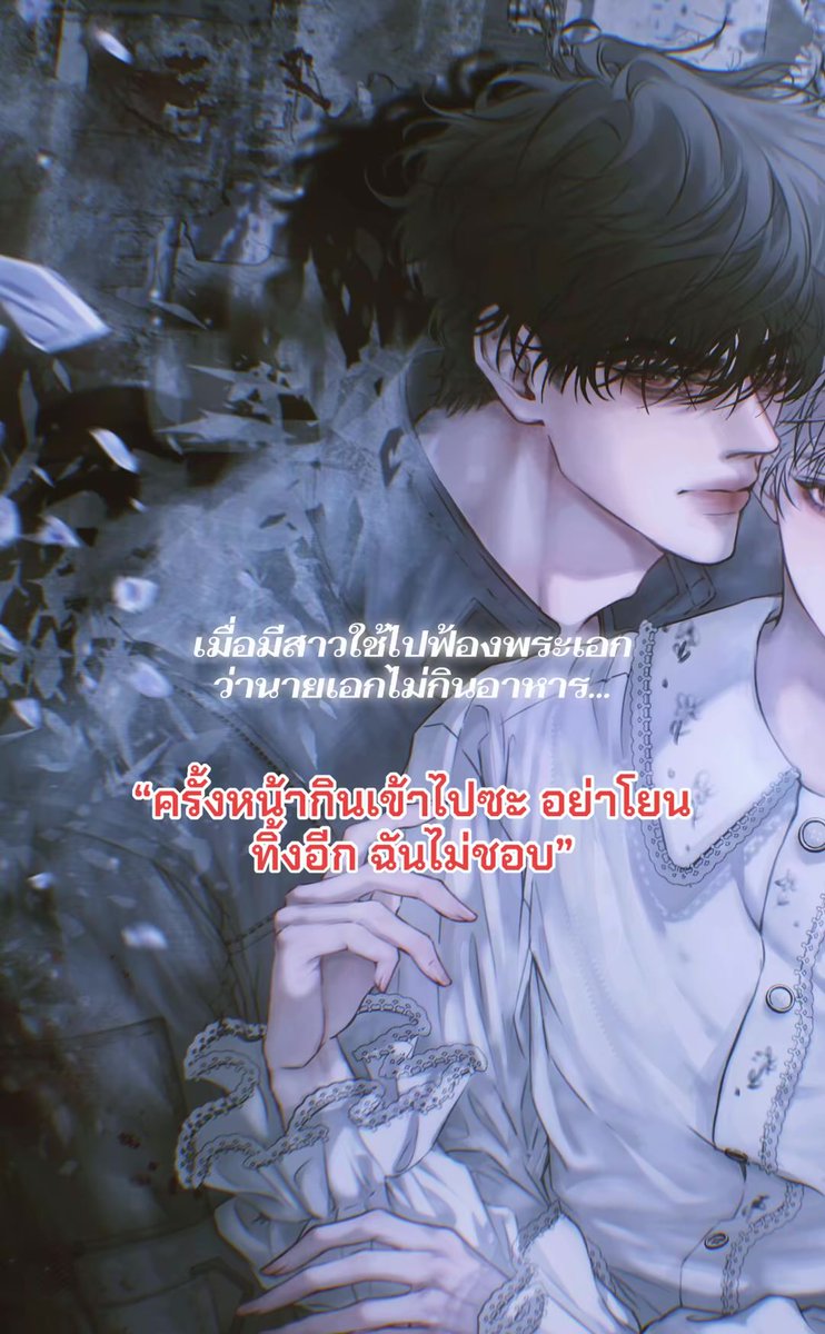 Love_Novell tweet media