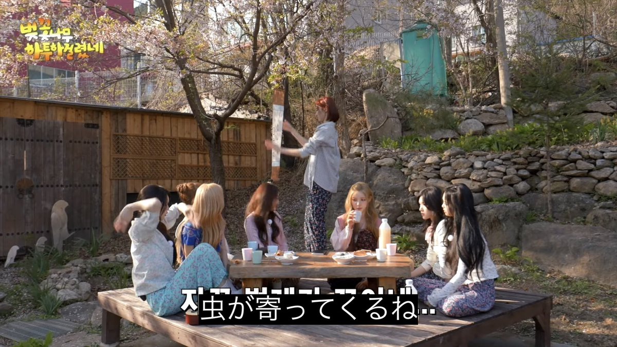 南無三 tweet media