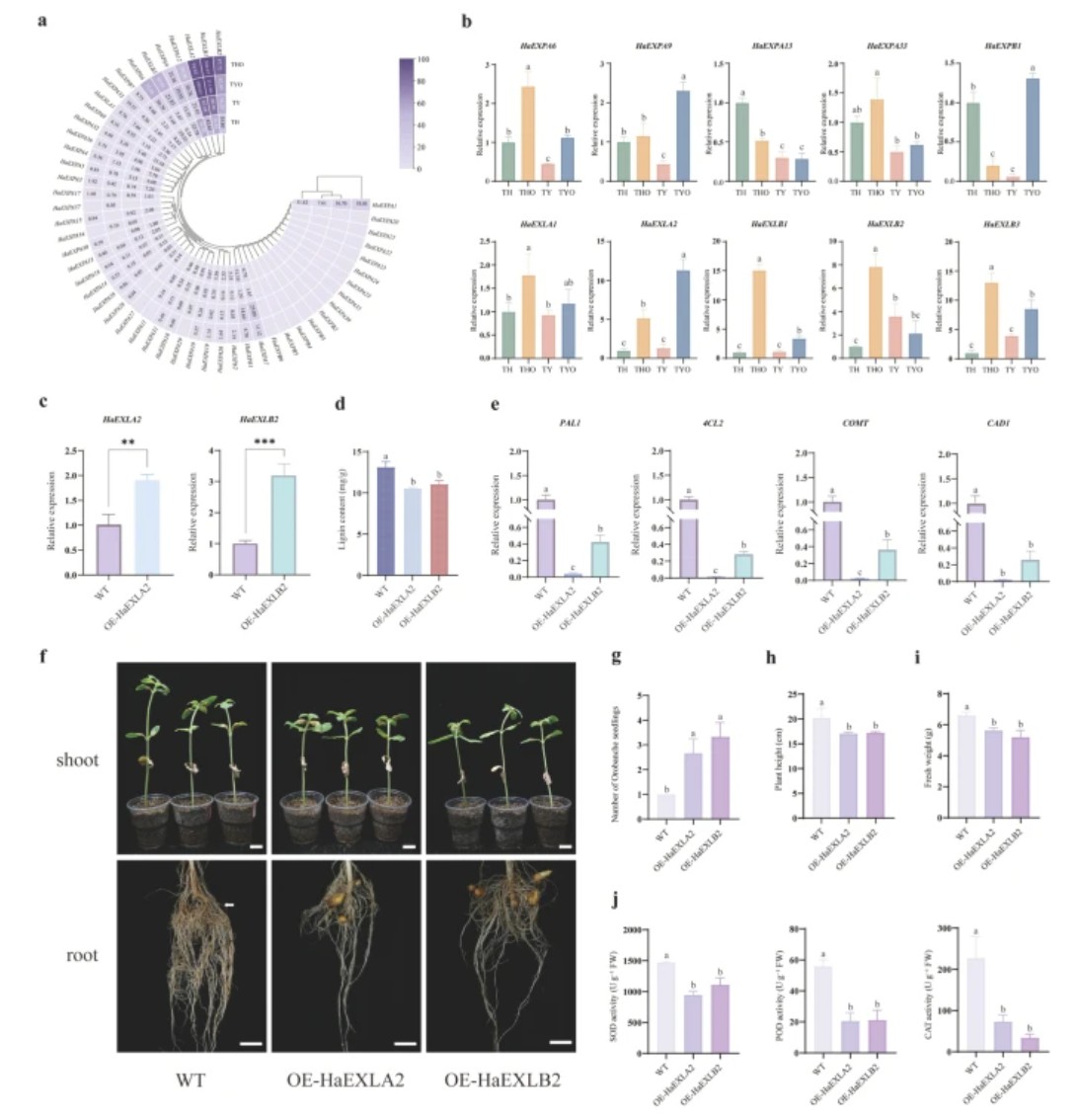 Plant Cell Reports tweet media