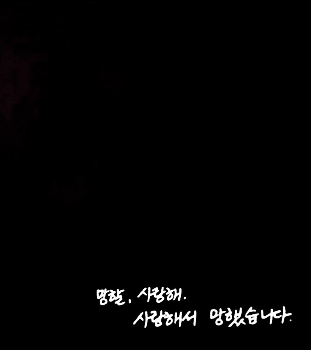 훤 tweet media