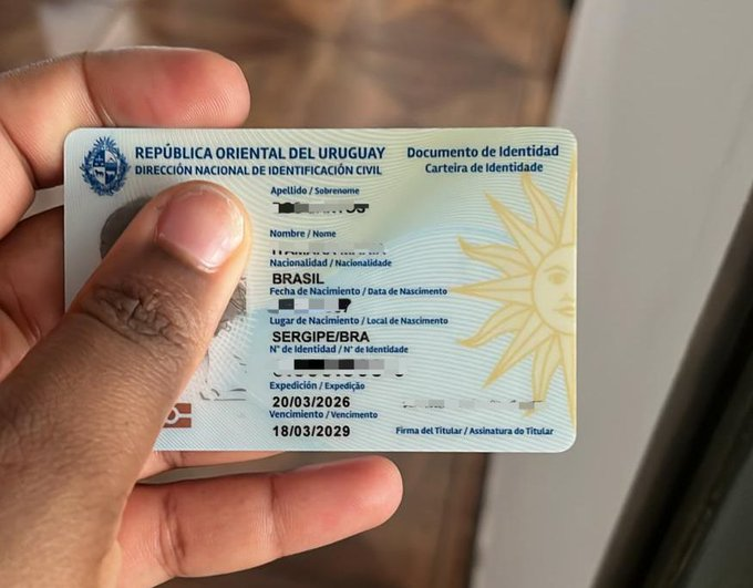 Freedom Visas tweet media