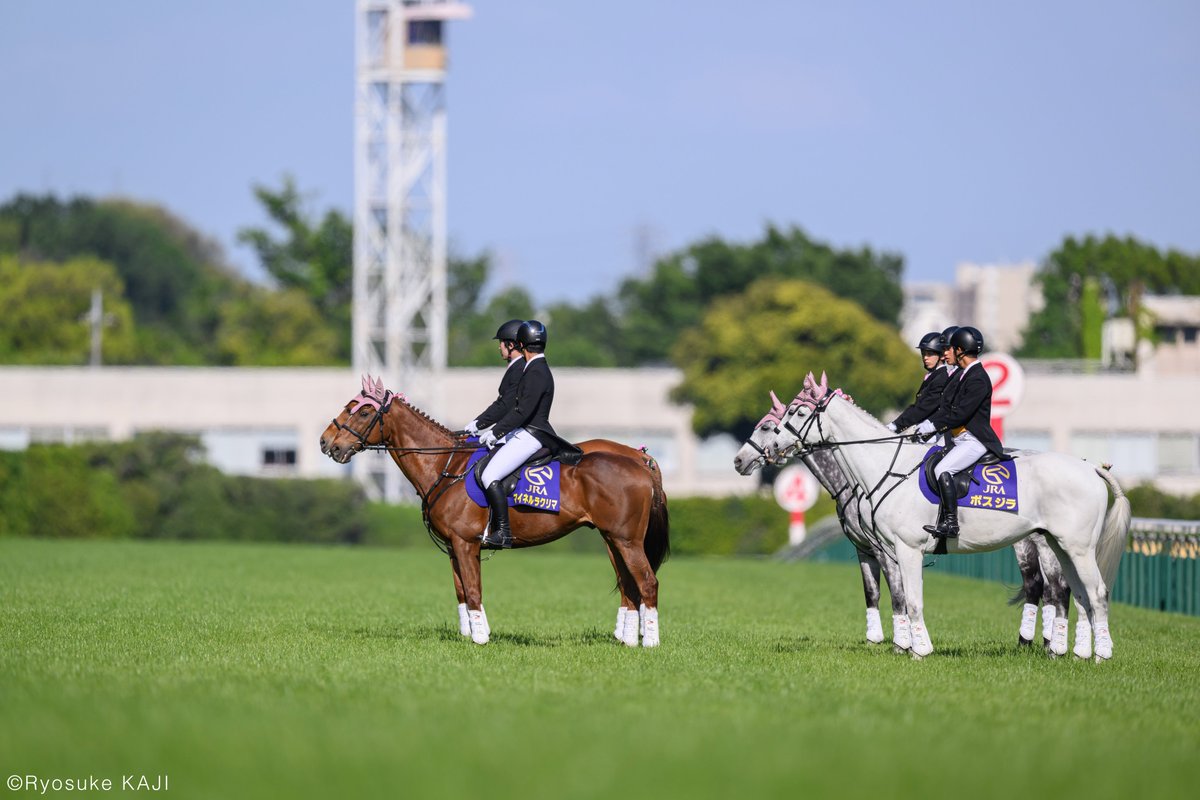 photorkaji's tweet photo. NHKマイルカップの誘導馬の整列がとても綺麗でした。
#母の日コーデ https://t.co/Oxh06LZdiT