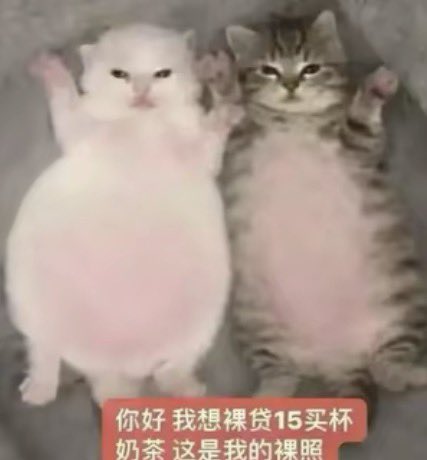 真理（寻回互fo版） tweet media