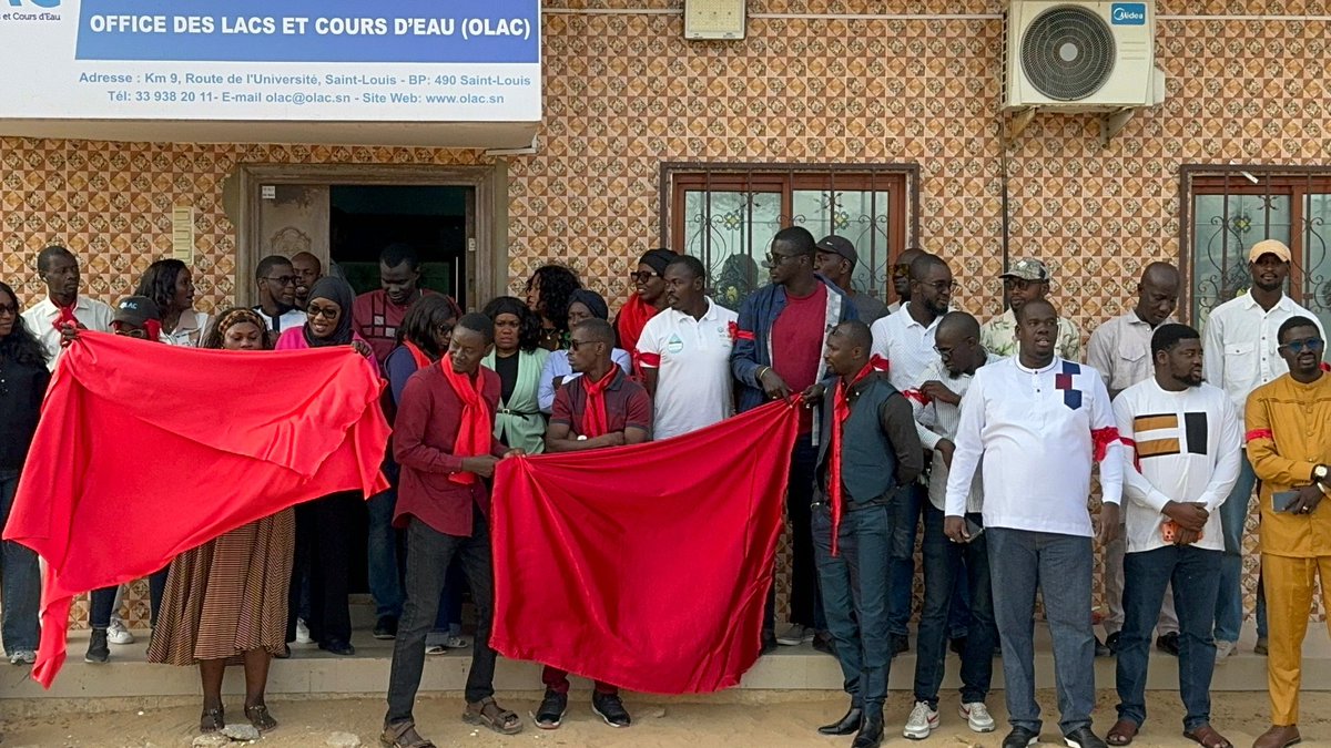 watbekris's tweet photo. Les  collègues  de OLAC  de @Brayediallo ont organisé ce matin un point de presse et port de brassard rouge. Ils  Dénoncent  le licenciement abusif de leur représentant au conseil d'administration . https://t.co/63YlHn9piY