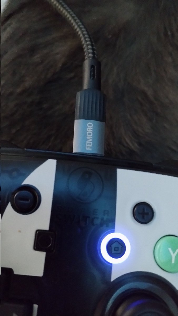ToyoTheFox's tweet photo. @mramazingyt @nou_oke @Polymarket Use a pro controller then if you hate the joycons so much. I've had this one since 2018 and it still works great. https://t.co/oTKWQ7jKE5