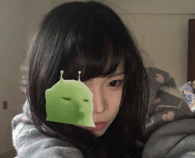 高知 tweet media