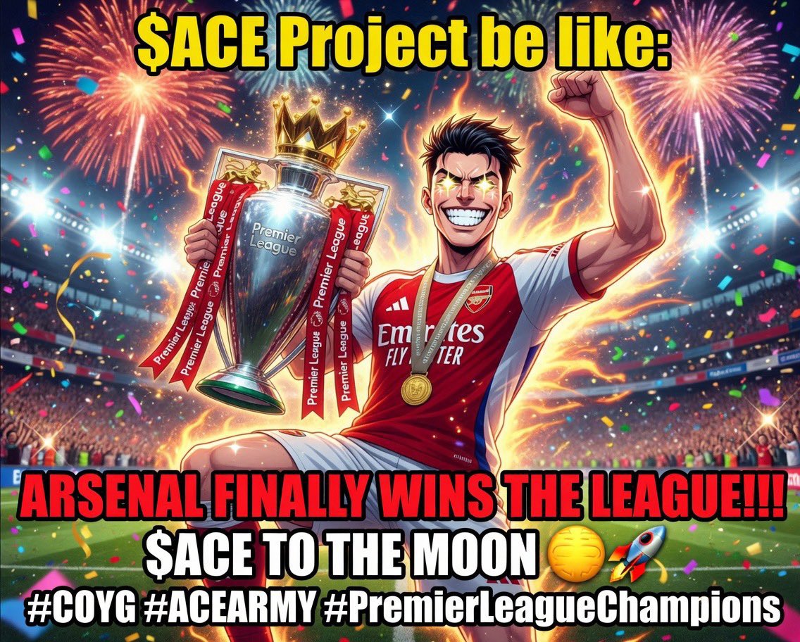 Arsenal Champions of England and Beyond tweet media