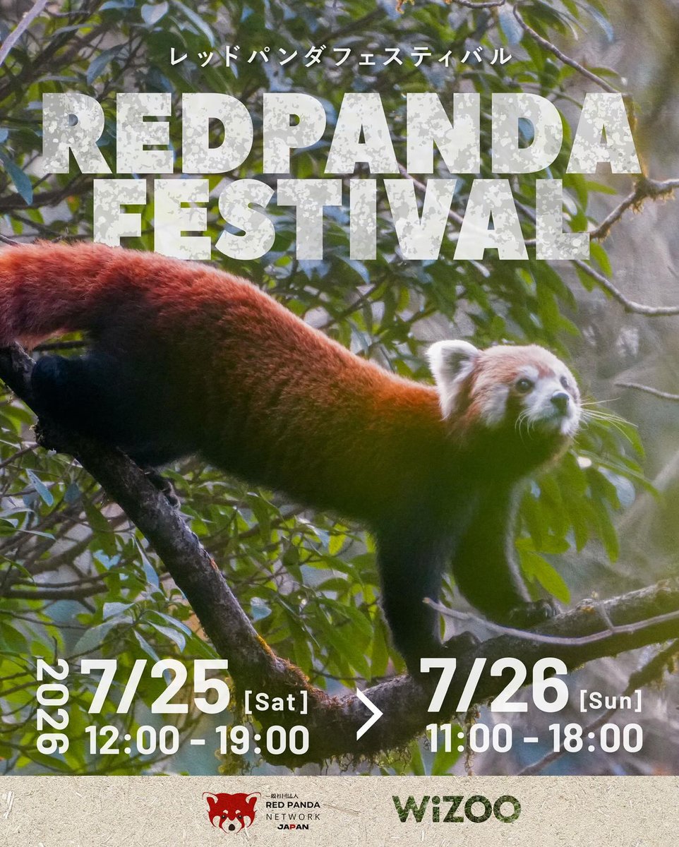 Red Panda Network tweet media