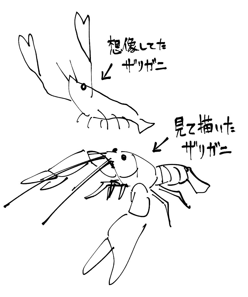 おはぢき🍣 tweet media