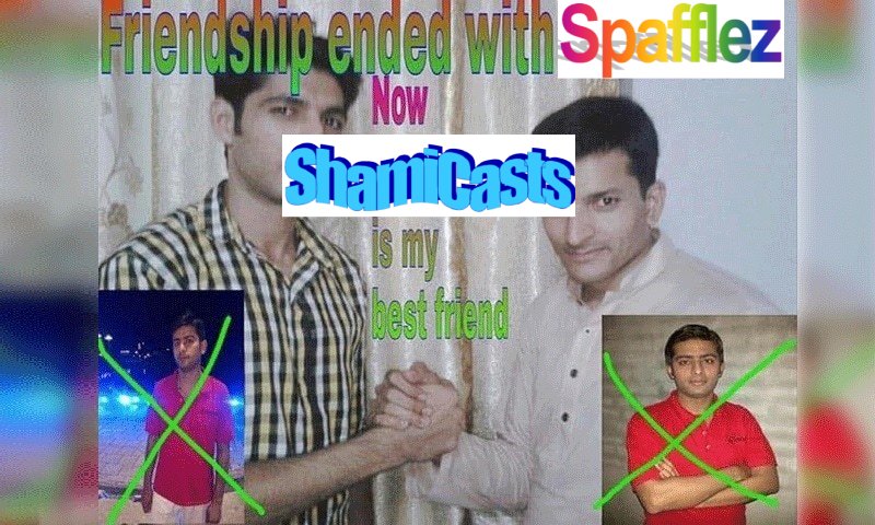 Shami (Formerly Spafflez) tweet media