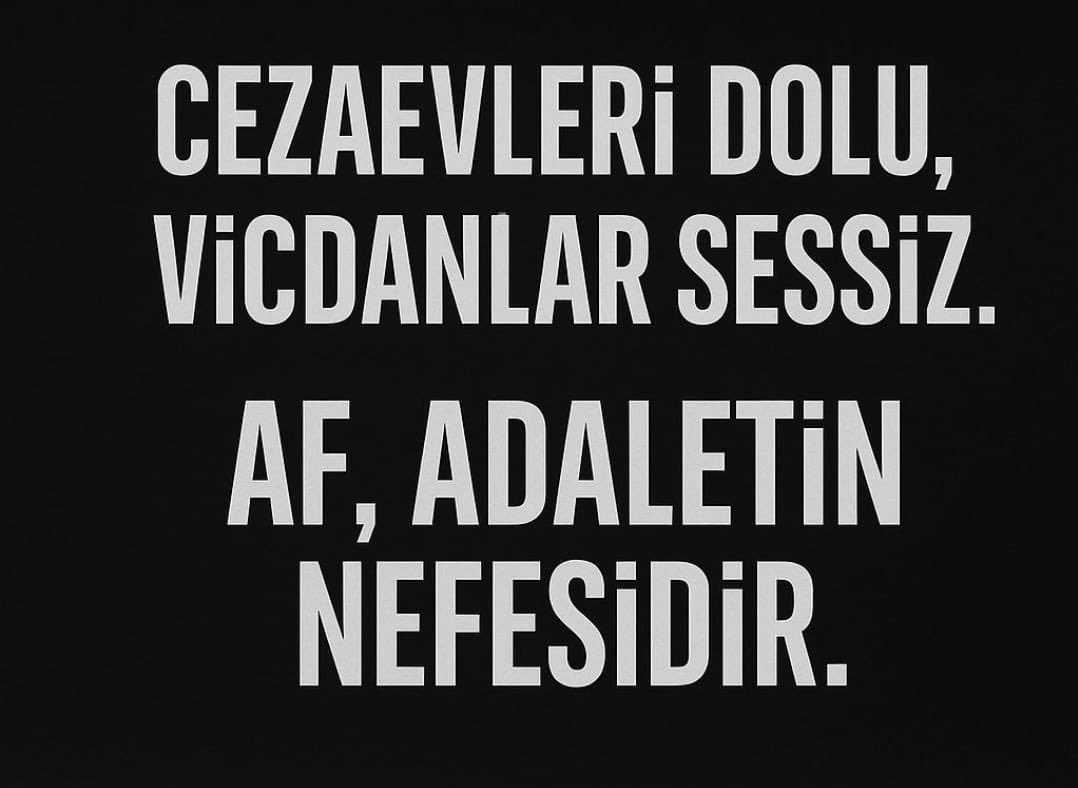 ozlem ozkan tweet media