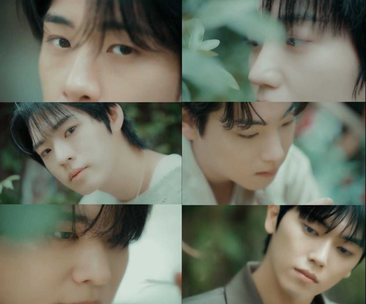 뉴피 tweet media