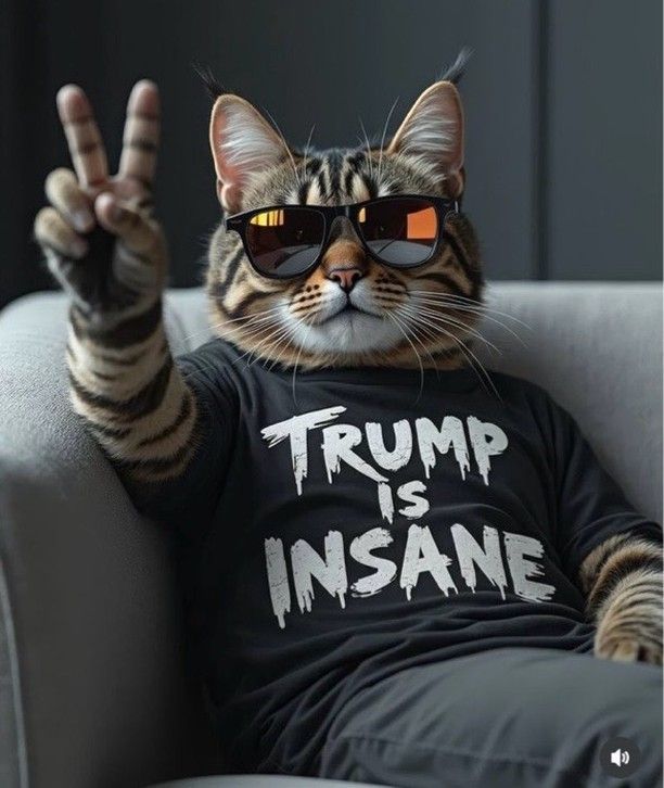 lovemetender65's tweet photo. @krassenstein ☠️💩👍🏼 https://t.co/fJlCeWrp3y