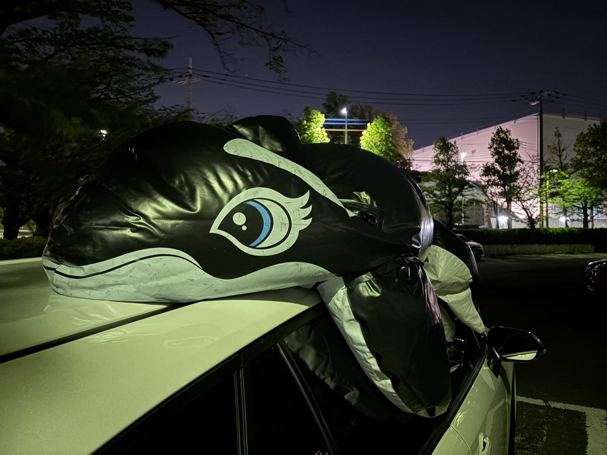 inflatabletrek's tweet photo. せっかく帰省したのでプールを堪能💨
温水プールだからかシャチが伸びに伸びた https://t.co/0Dn0XwUaei