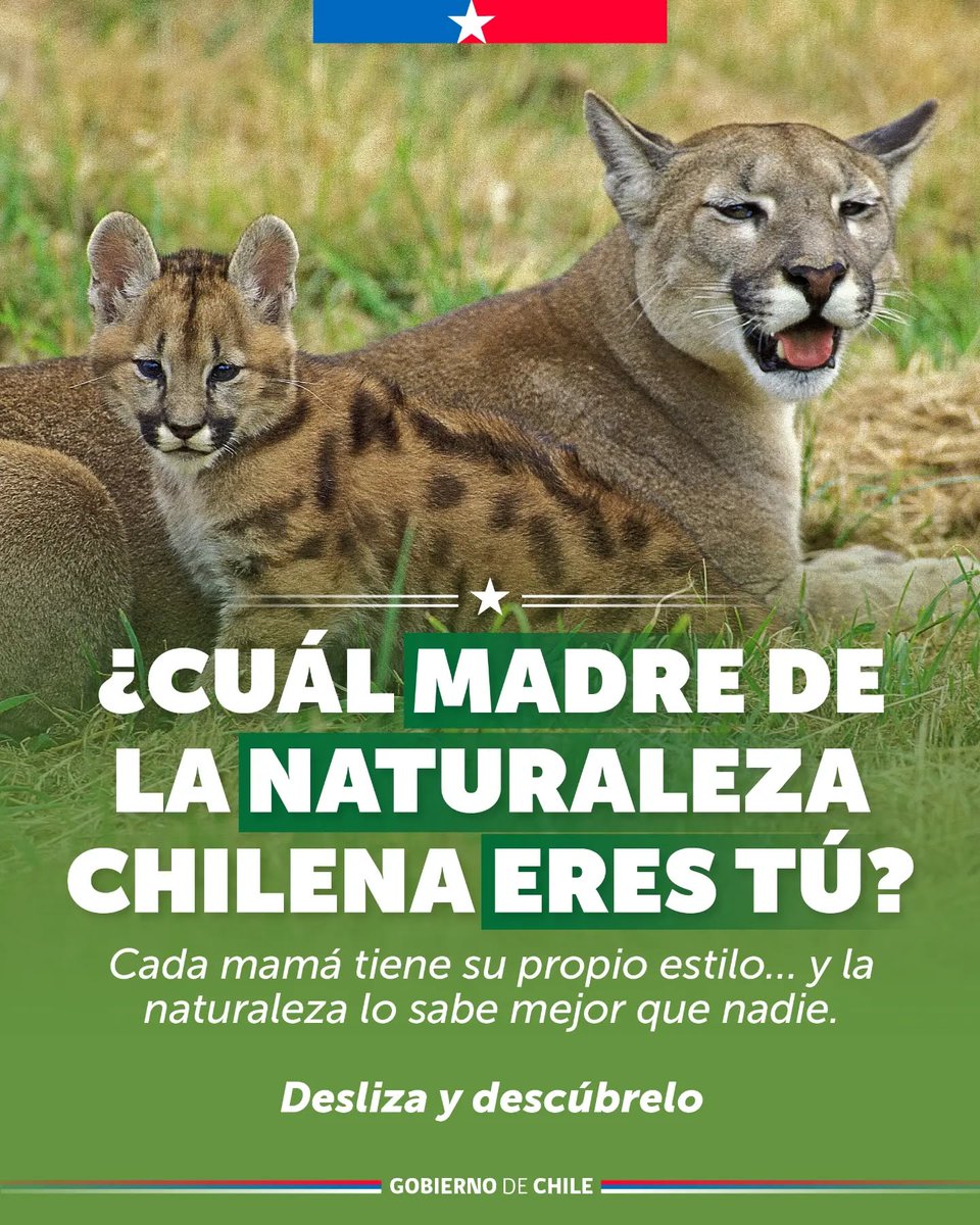 Seremi M.A. Arica y Parinacota tweet media