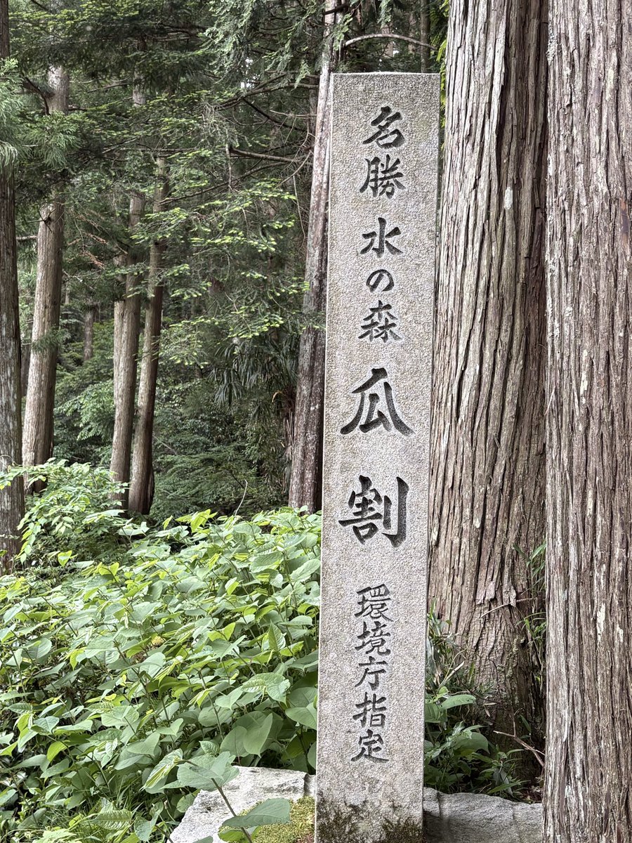 rejoice0505's tweet photo. 福井 小浜の瓜割の滝。

陰陽師 漫画で読んで以来、憧れの水性豊かな霊地に行ってきました。
神宮寺の名水はまろやかで甘い甘露の味。

川脇の小椿が奈良への送り水、二月堂を想起させる。

https://t.co/Ttt2m7gRWb https://t.co/nvujPydc0R