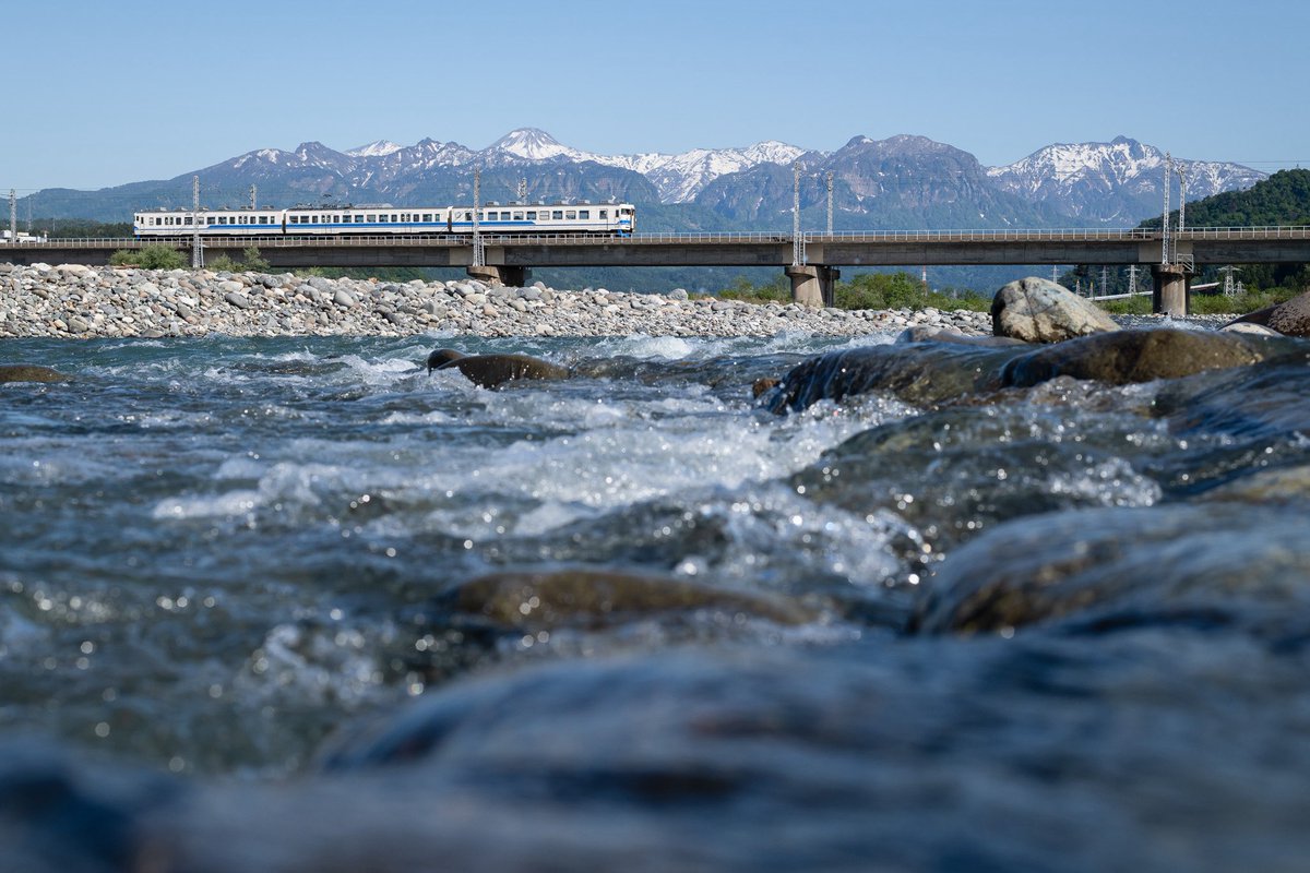 なやかな tweet media