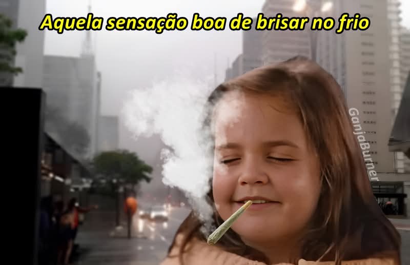 SpaceCannabis 🍃 tweet media