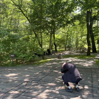 マカロン tweet media