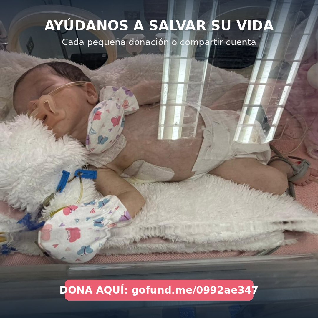 creatore17's tweet photo. Mia sigue hospitalizada y luchando por su vida.  Necesitamos recaudar fondos urgentes para cubrir sus gastos médicos

Cualquier donación o RT nos ayuda a salvarla. 🙏 Por favor, ayúdanos a difundir
🔗 Dona aquí: https://t.co/13aYfHW189
#SalvemosANuestraBebe #AyudaMedica #GoFundMe https://t.co/YLxTChYlzA
