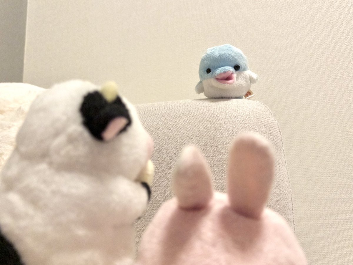 ぴんくちゃん (@PINKchanLIFE) / Posts / X