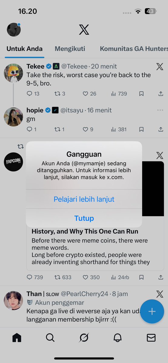Je 🎀 tweet media