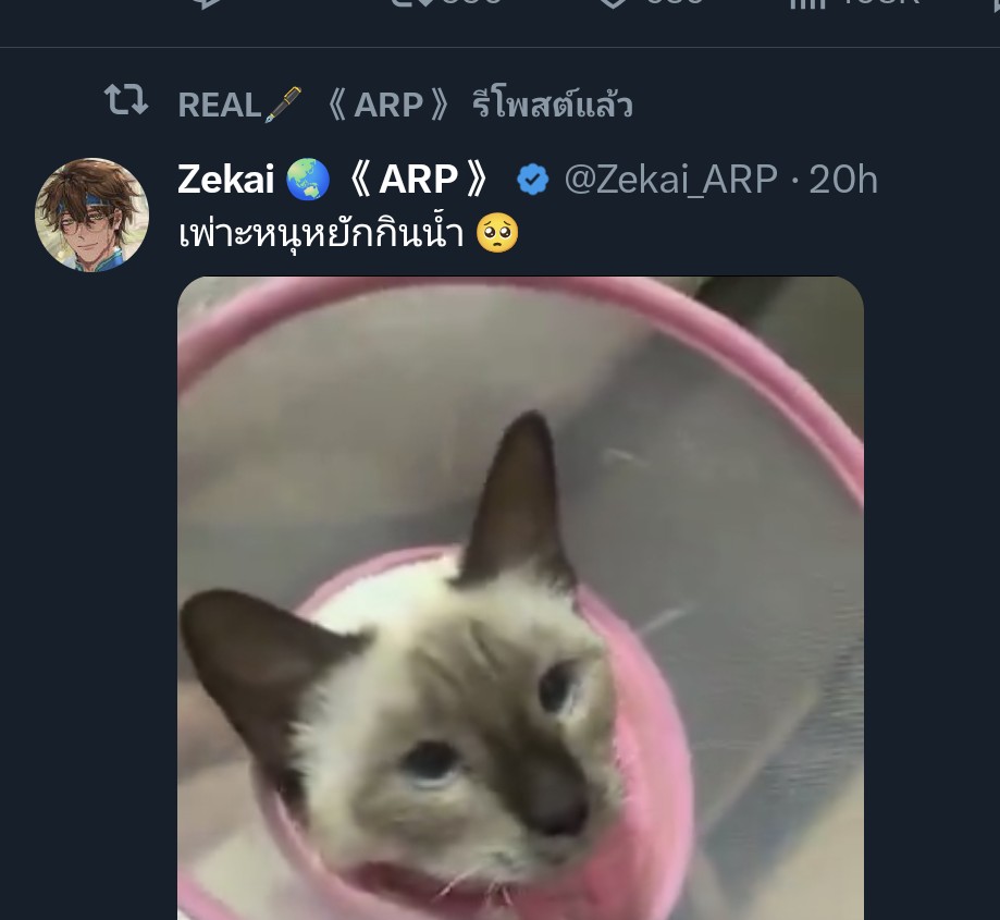 Duckhode_ARP's tweet photo. แมวน่ารักดี แต่ไม่ได้เด่นพอให้โฟกัสเท่า ^ https://t.co/JjV8PBMiYp