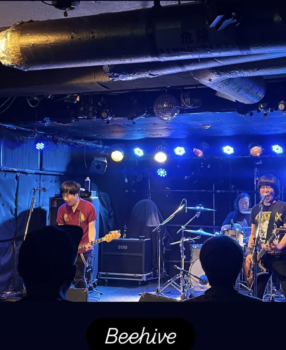 セガワ Beehive tweet media
