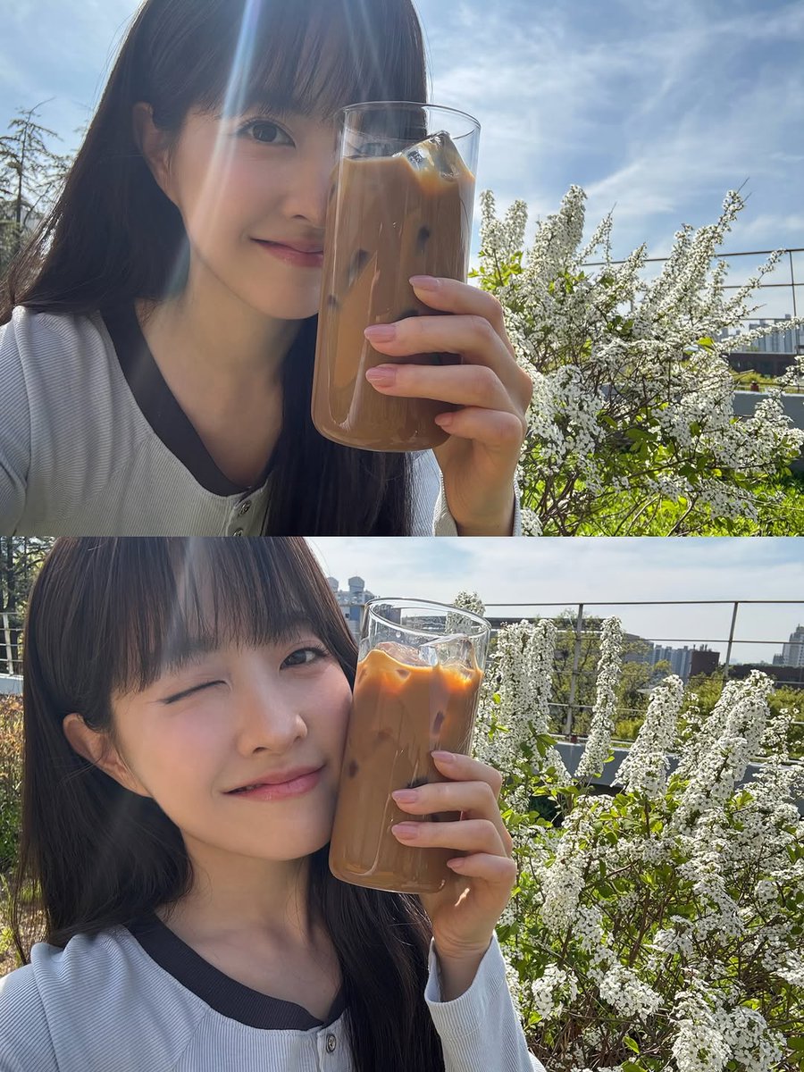 콩가루🌳 tweet media