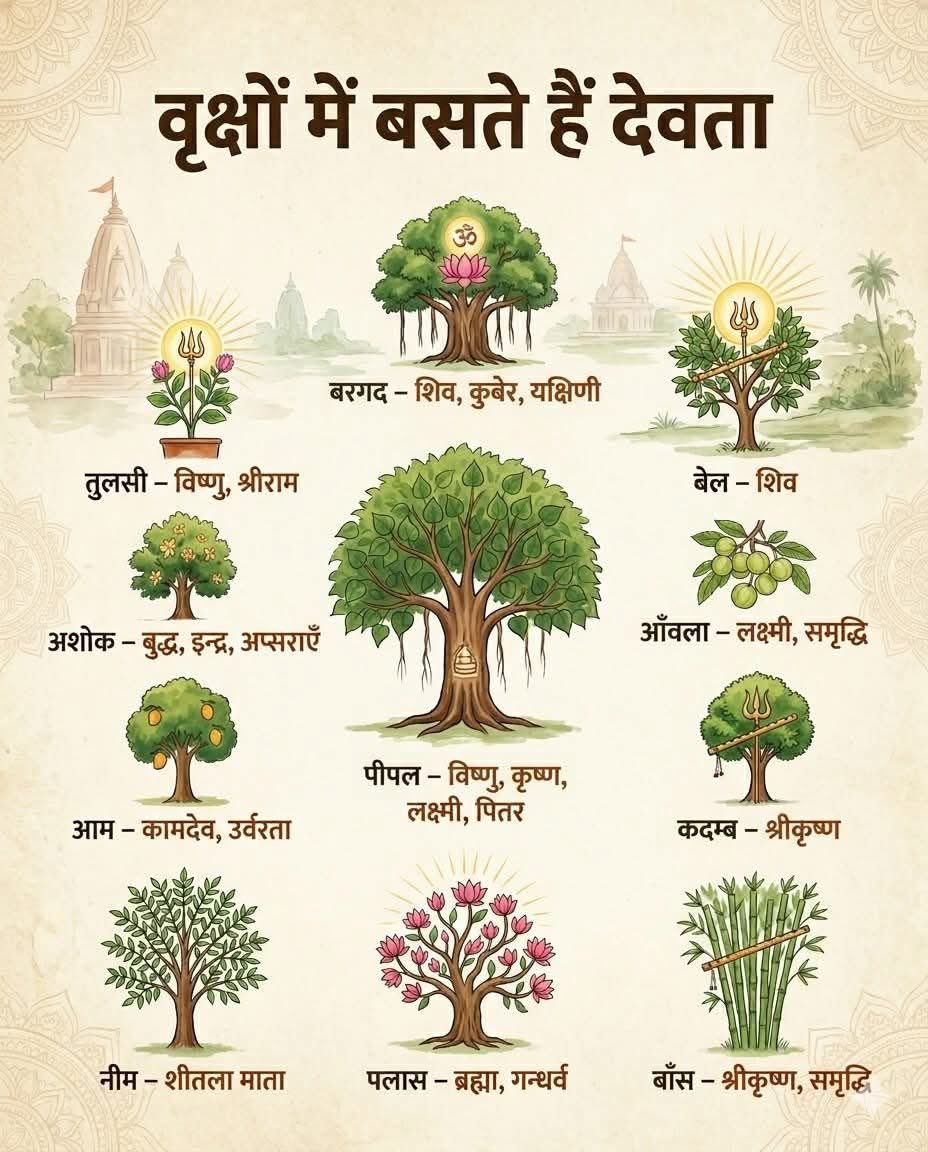 joy_0484's tweet photo. वृक्षों में बसते हैं देवता – जानिए उनका रहस्य

क्या आपने कभी सोचा है कि हमारे शास्त्रों में वृक्षों को इतना पवित्र क्यों माना गया है?

पीपल हो या बरगद… तुलसी हो या बेल…
ये सिर्फ पेड़ नहीं, बल्कि देवताओं का निवास स्थान हैं।

हमारे पूर्वजों ने प्रकृति को केवल संसाधन नहीं, बल्कि ऊर्जा और आस्था का स्रोत समझा।
इसीलिए हर वृक्ष के साथ जुड़ी है एक दिव्य कथा, एक शक्ति, एक विश्वास।

पीपल में विष्णु का वास,
बरगद में शिव की शक्ति,
तुलसी में भक्ति का रूप,
और नीम में छिपी है रहस्यमयी ऊर्जा…

ये सब केवल मान्यताएं नहीं, बल्कि प्रकृति और मानव के गहरे संबंध का प्रतीक हैं।

आज जब हम आधुनिकता में आगे बढ़ रहे हैं,
तो क्या हम इन पवित्र वृक्षों की महत्ता को भूलते जा रहे हैं?

सोचिए… जिस प्रकृति को हमारे ऋषियों ने पूजा,
क्या हम उसका संरक्षण कर रहे हैं?