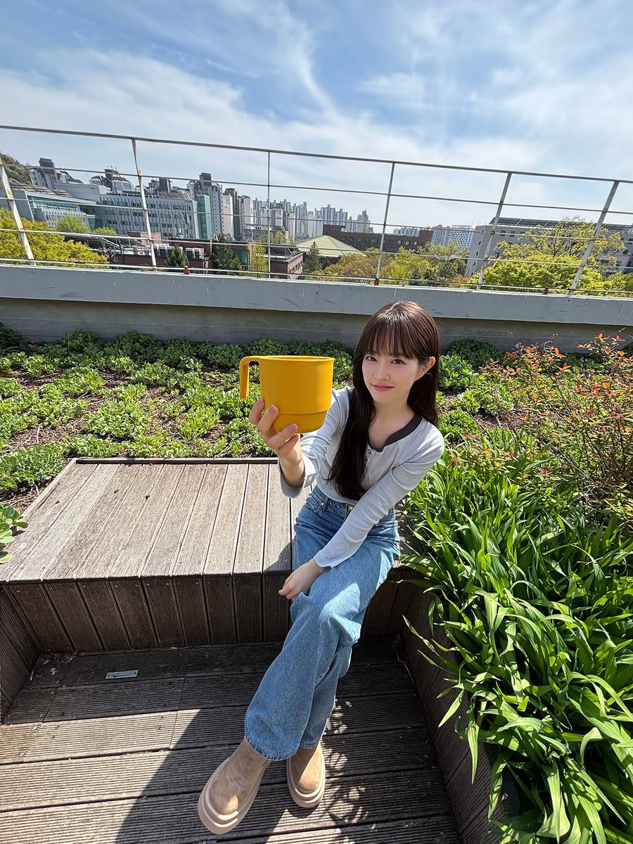 콩가루🌳 tweet media