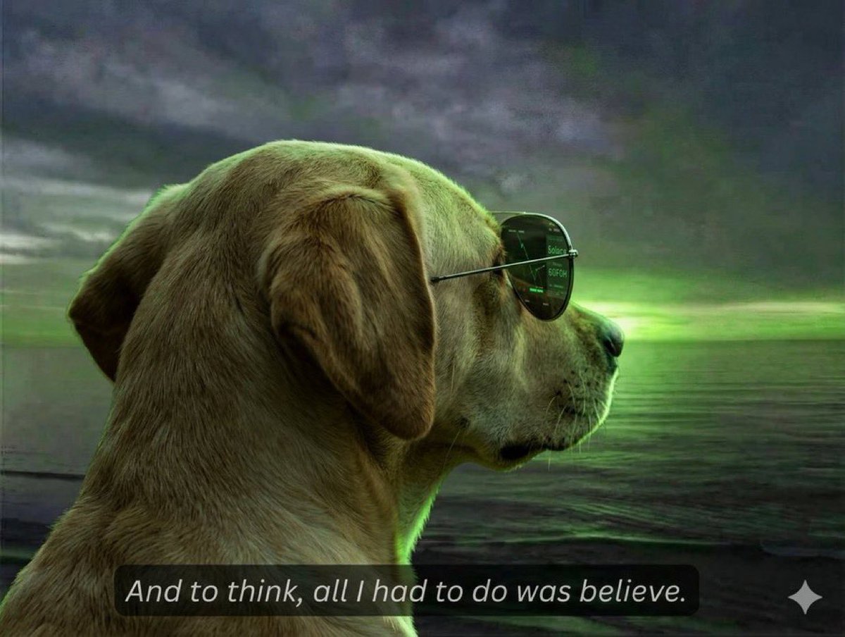 Dracular ( $DOG ARC ) tweet media