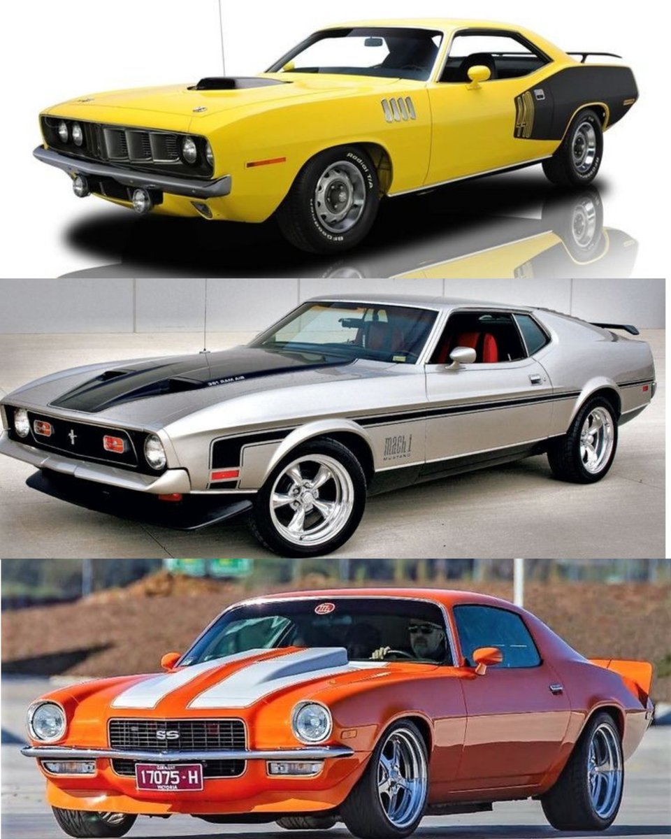 Vintage Cars Collection tweet media