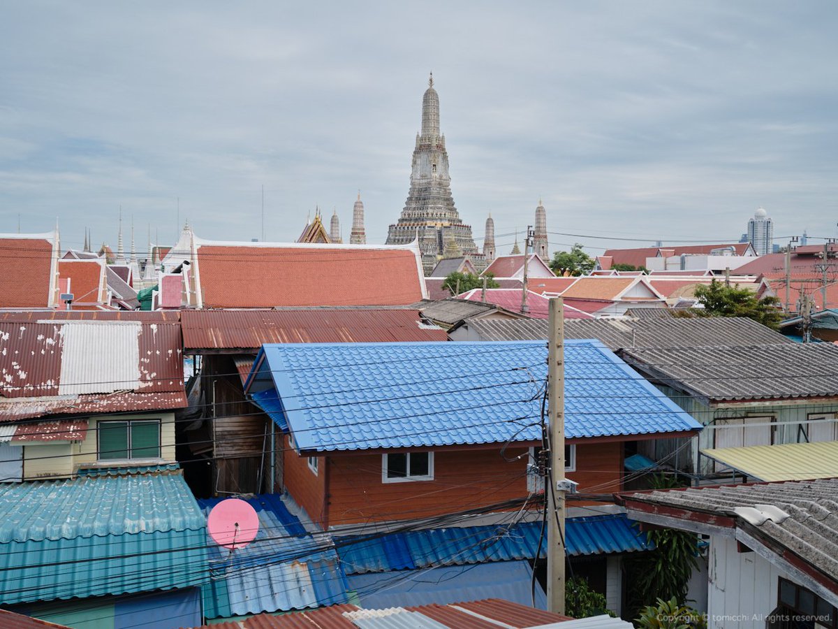 tomicchi tweet media