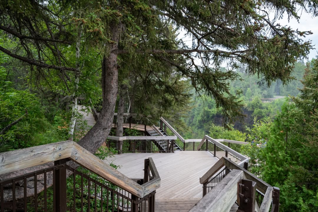 Ontario Parks tweet media