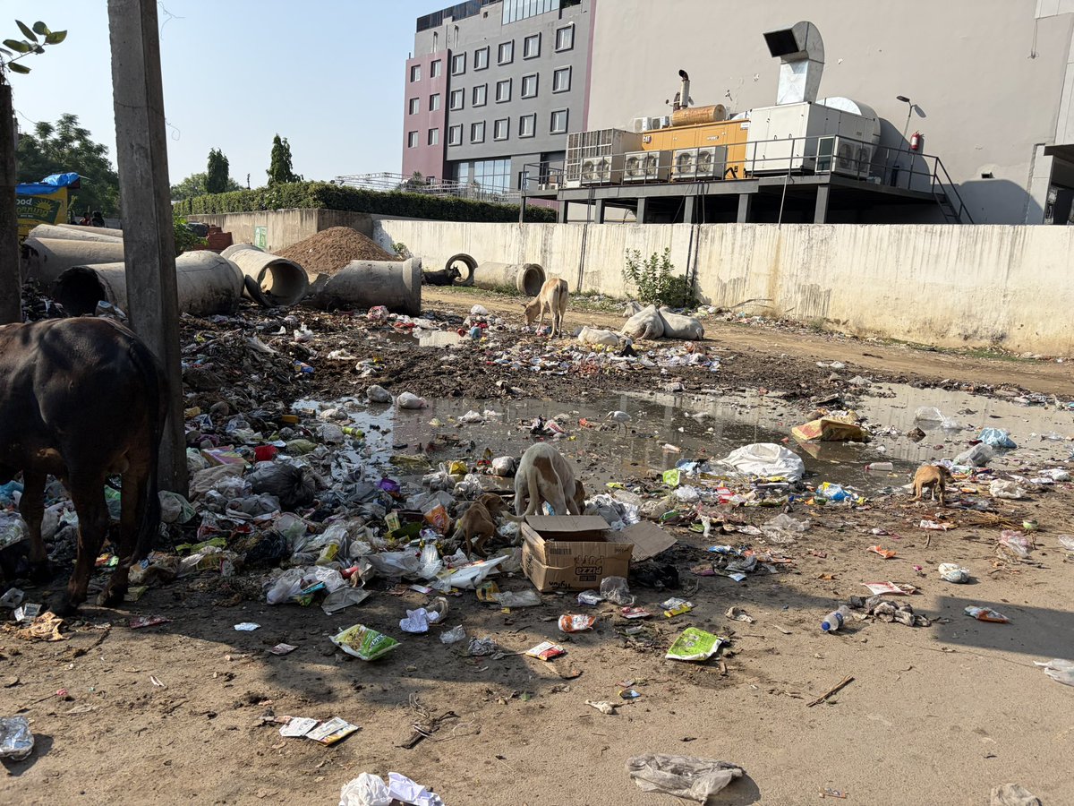 YTKDIndia's tweet photo. This is near Sushant Golf City &amp; Ahmamau.

Garbage dumped in the open.
Stagnant dirty water on the roadside.

Stray cattle and dogs feeding around waste.

Concrete pipes lying abandoned. https://t.co/bP9fIqtkwr