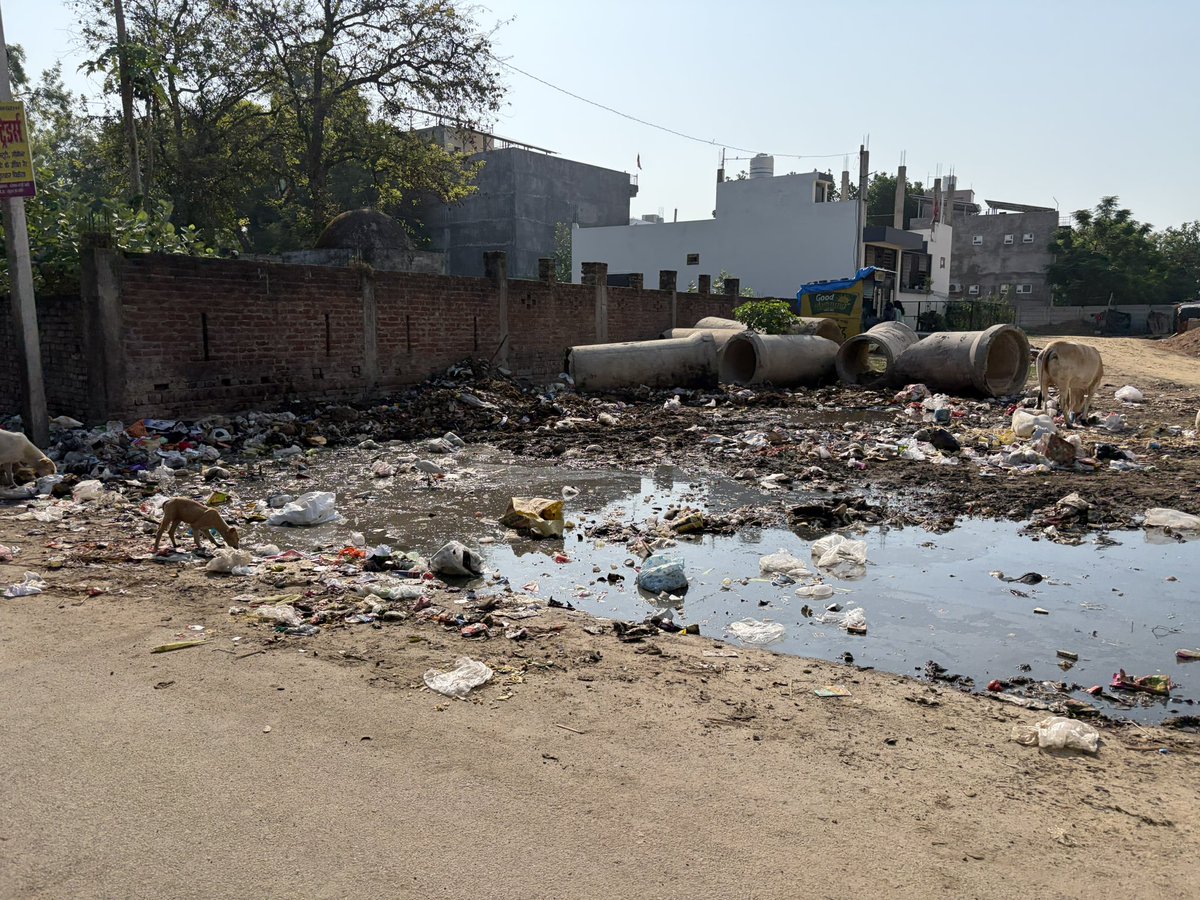 YTKDIndia's tweet photo. This is near Sushant Golf City &amp; Ahmamau.

Garbage dumped in the open.
Stagnant dirty water on the roadside.

Stray cattle and dogs feeding around waste.

Concrete pipes lying abandoned. https://t.co/bP9fIqtkwr