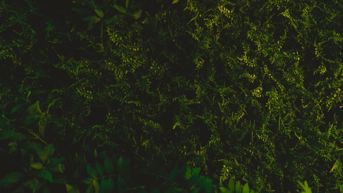 pic_mj__'s tweet photo. moss green https://t.co/Phiu2D0vcJ