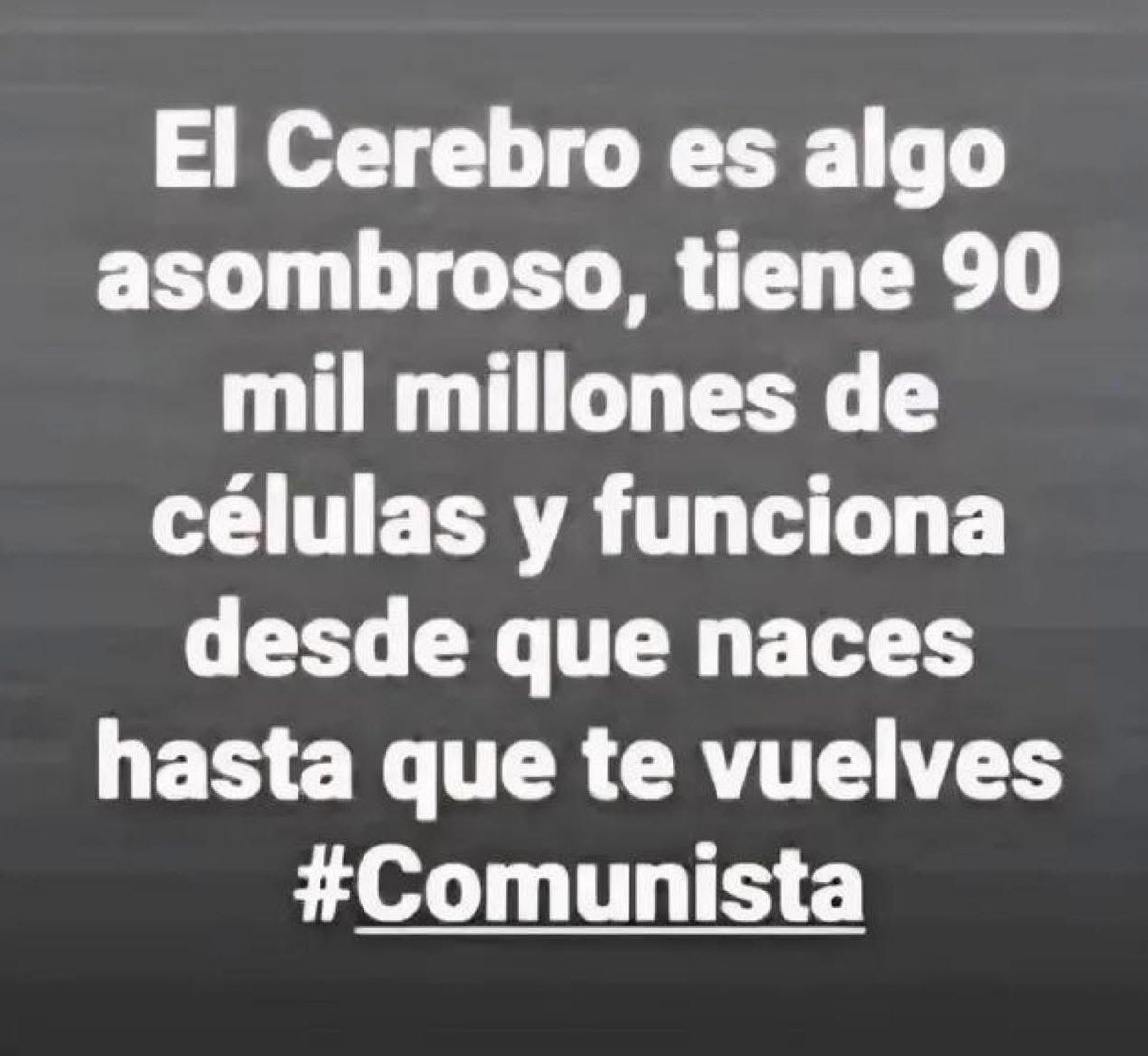 AdrianaVeterin's tweet photo. https://t.co/KWVva0DfEJ