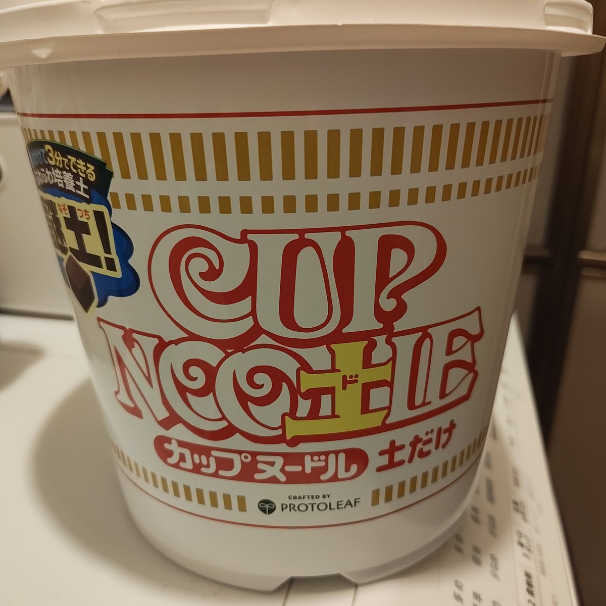 おさかなテレビジョン tweet media