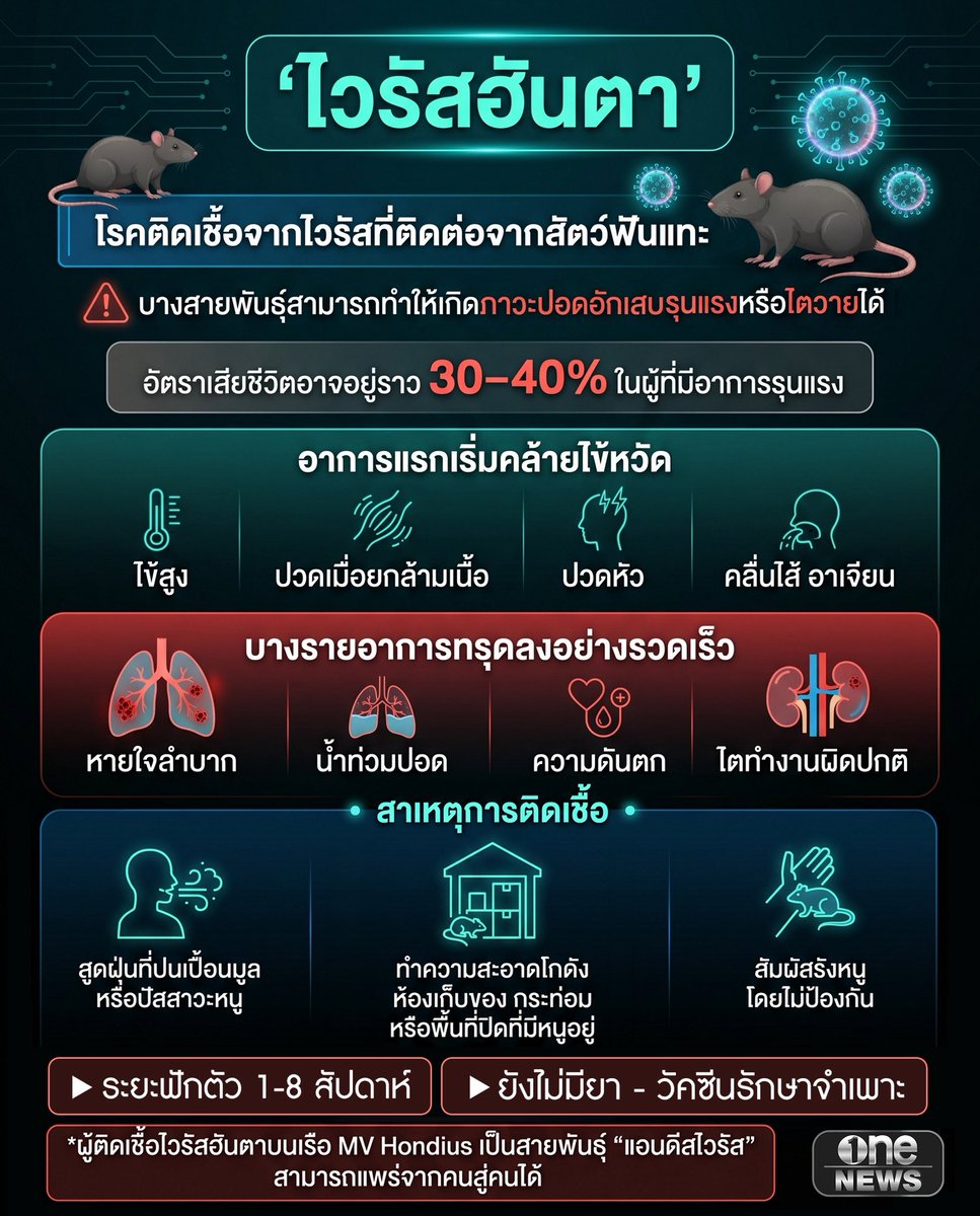 ข่าวช่องวัน tweet media